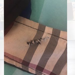 Burberry Accessories - Burberry Belt Burberry Accessories - Burberry Belt